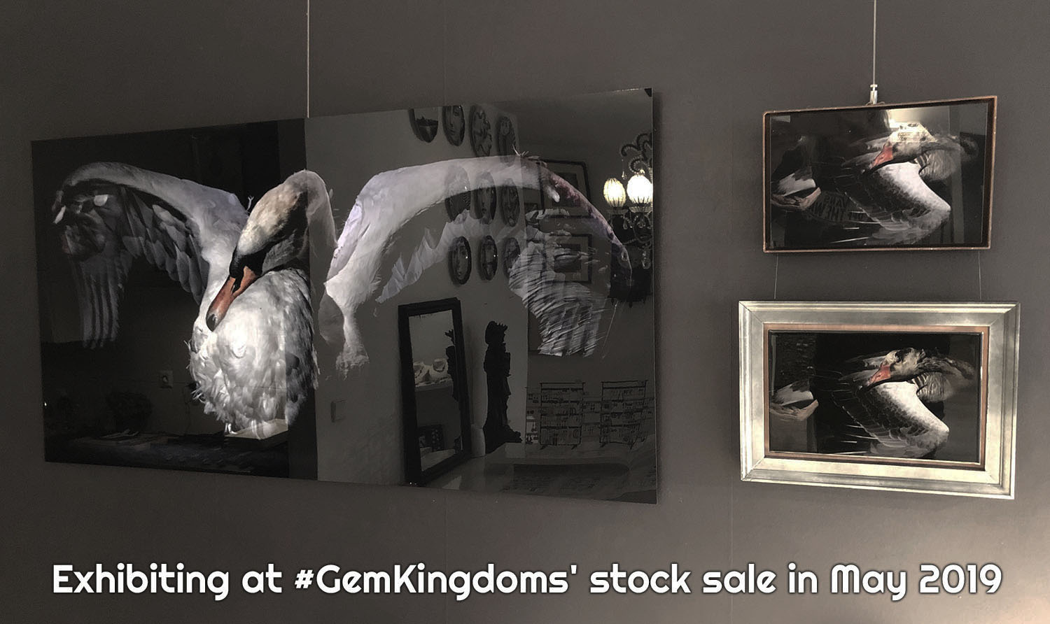 Exhibiting at #GemKingdoms' stock sale in May 2020