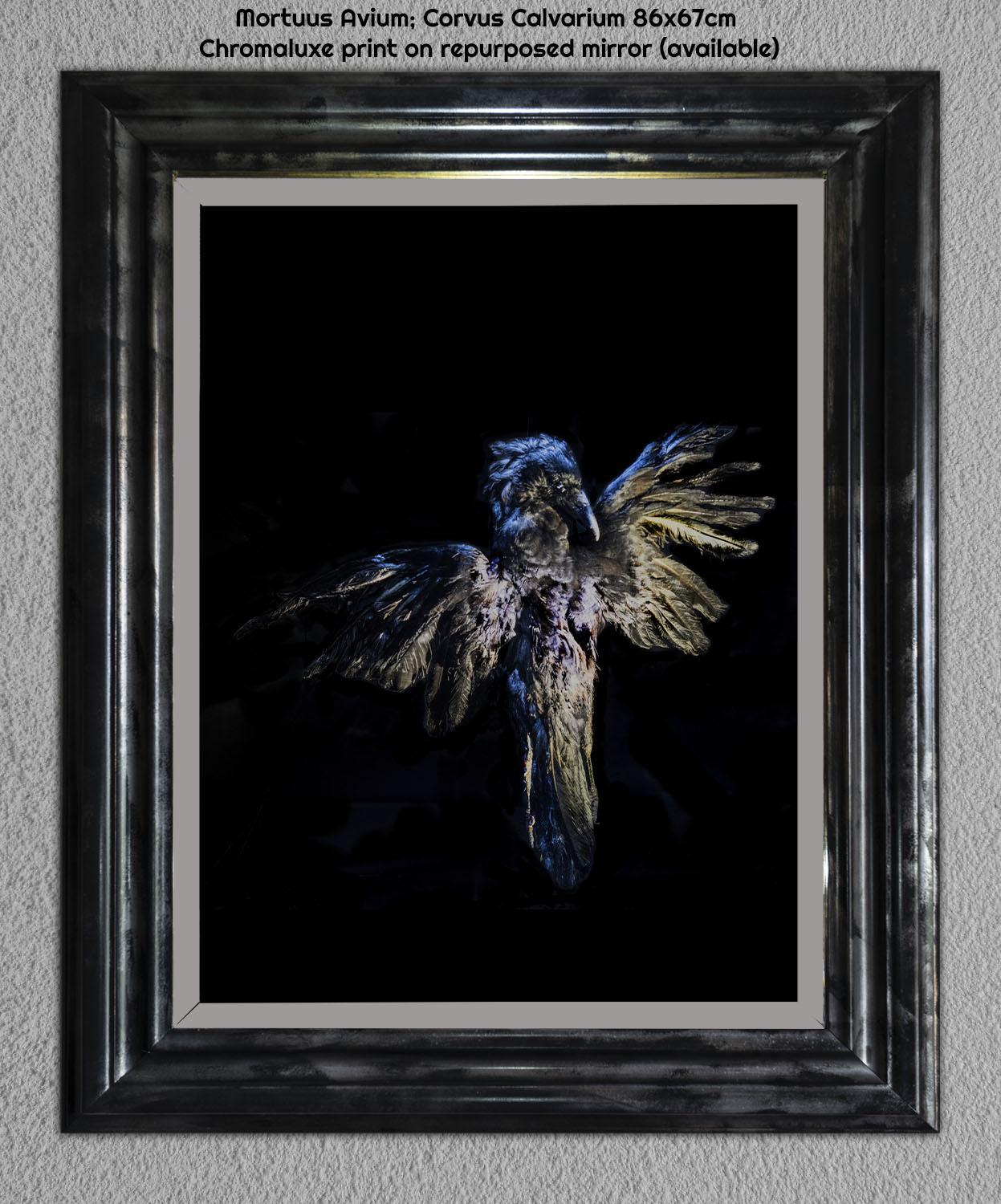 'Corvus Calvarium' 86x67cm Chromaluxe print on repurposed mirror